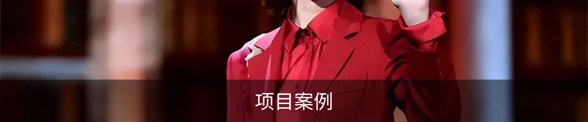 项目案例
